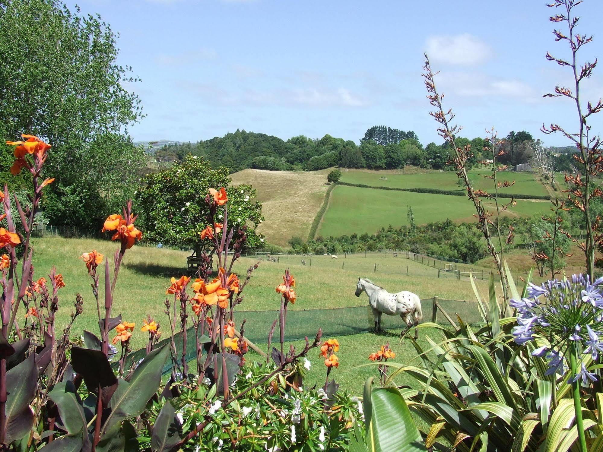 Runciman Berries And Emus B&B Ramarama Exteriör bild